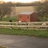 midwestfarmmom